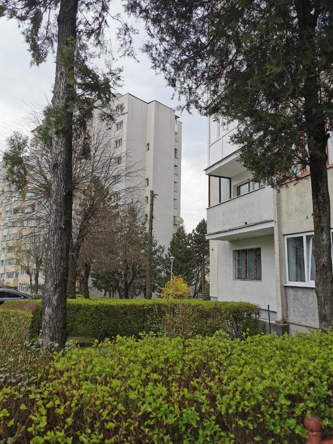 Apartament Maysa Cluj-Napoca Esterno foto