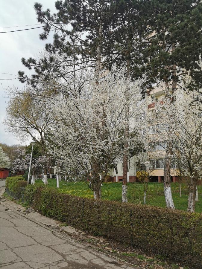 Apartament Maysa Cluj-Napoca Esterno foto