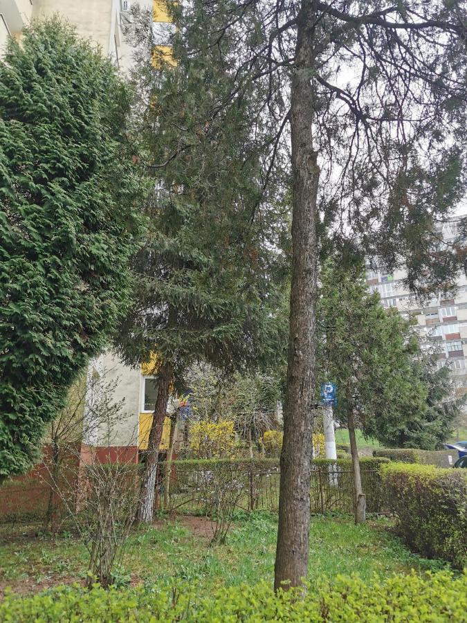 Apartament Maysa Cluj-Napoca Esterno foto